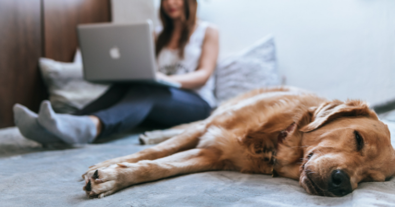 Melbourne named best city in the world for working anywhere
